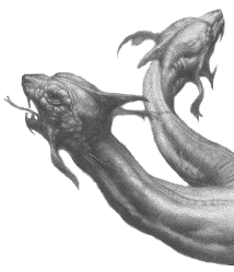 dragons