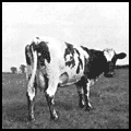 Atom Heart Mother