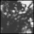 Obscured By Clouds